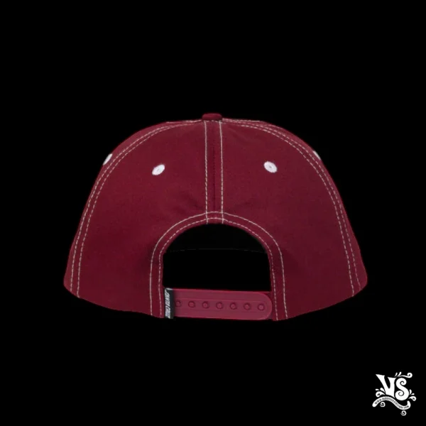 Gorra Santa Cruz Travelers Opus - Imagen 2