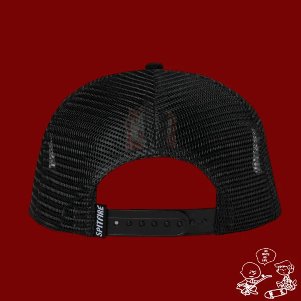 Gorra Spitfire Bighead Fill - Imagen 2