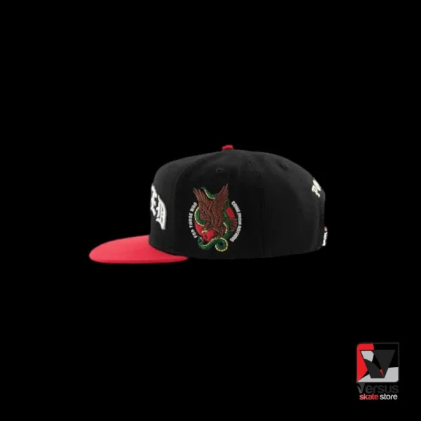 Gorra DGK guerrero - Imagen 2