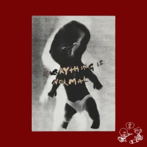 Libro Polar Skate co. Everything is Normal