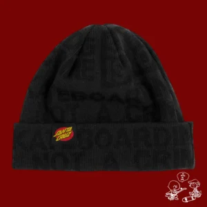 Beanie Santa Cruz Not A Crime